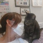 いのちのぬくもり 〜野良猫とよもぎ蒸しと、やさしさの輪〜